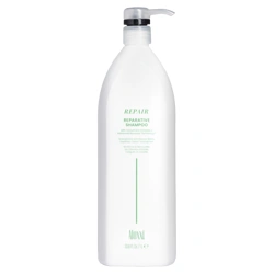 Aloxxi Reparative Shampoo