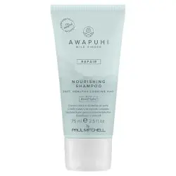 Paul Mitchell Awapuhi Wild Ginger Nourishing Shampoo